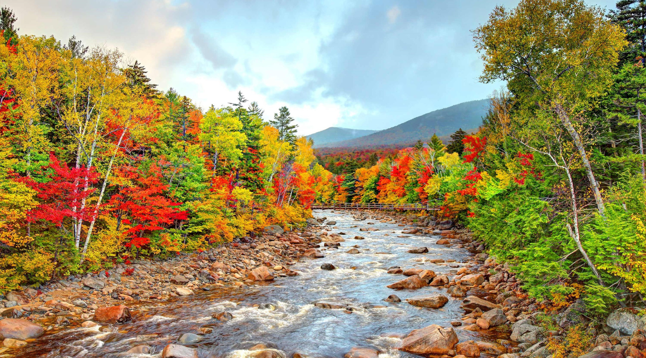 Autumn Colours of New England