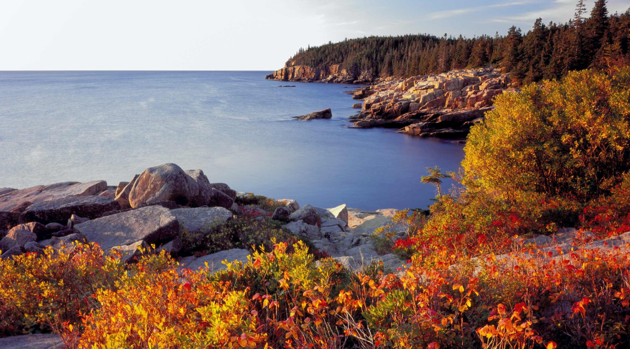 Autumn Colours of New England