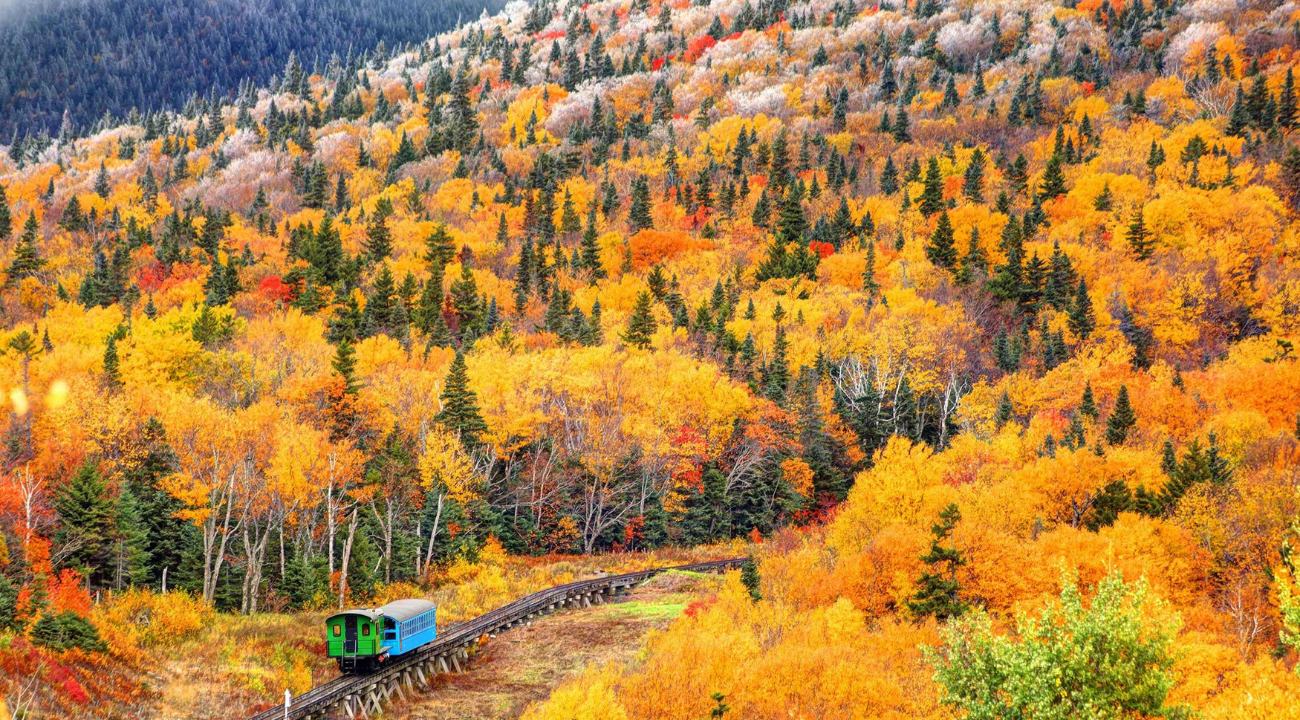 Autumn Colours of New England