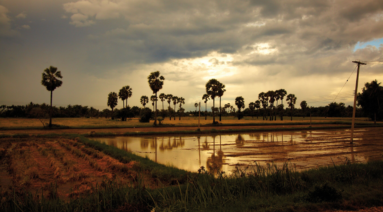 Golden sunset over the tropical jungle and mountains of the Malay Peninsula.