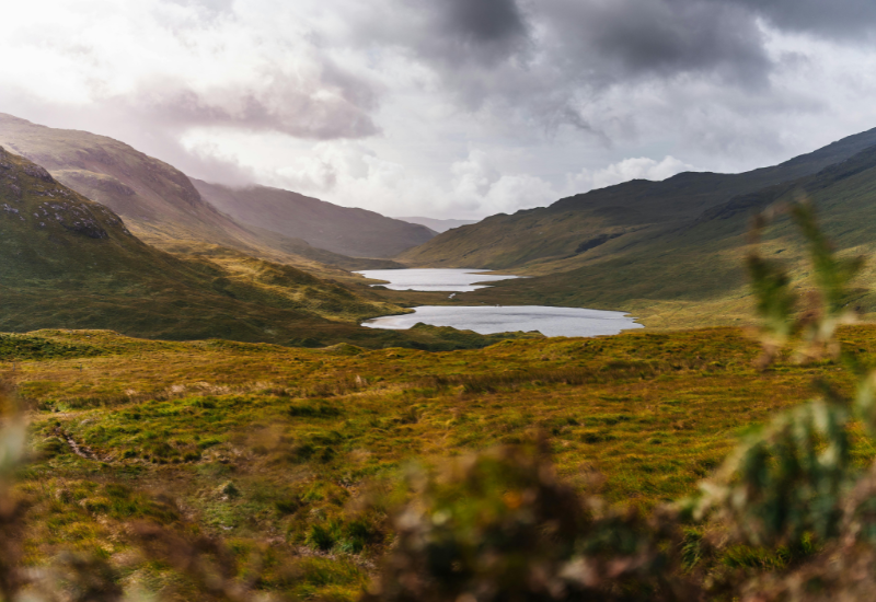 Taste of the Highlands by Royal Scotsman