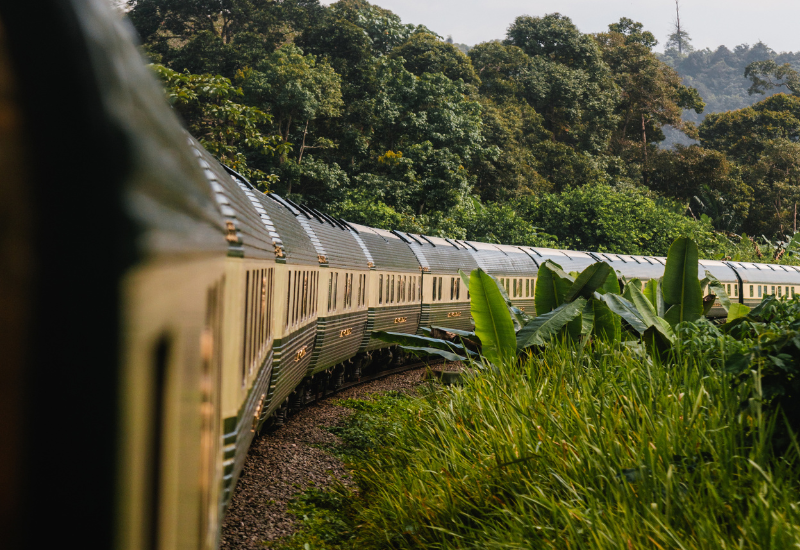 Wild Malaysia by Eastern & Oriental Express