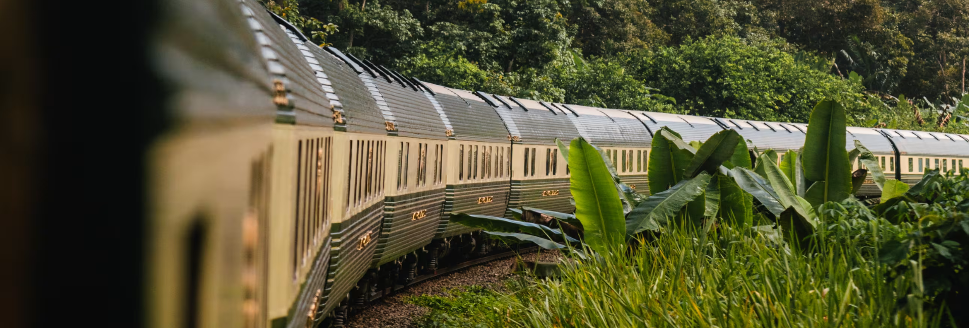 Wild Malaysia by Eastern & Oriental Express