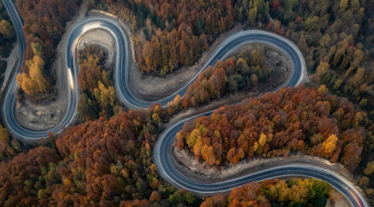 Scenic winding forest road, one of the best destinations for touring holidays for nature lovers