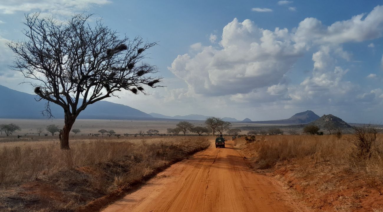 Kenya safari wildlife scene, one of the best destinations for touring holidays in Africa