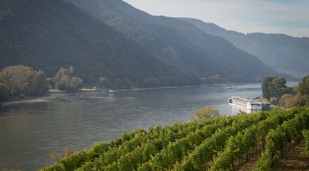 Vollrads Vineyard in the Rhine region of Germany with rolling vineyard hills