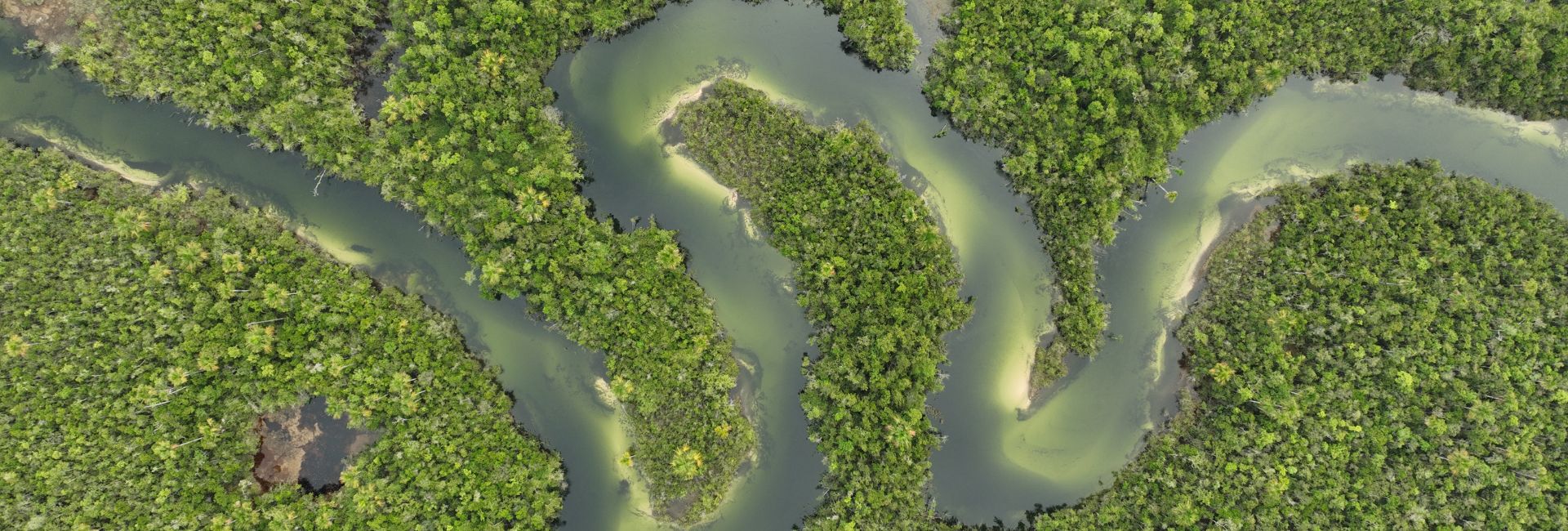 River cruise ship on the Amazon River surrounded by rainforest scenery